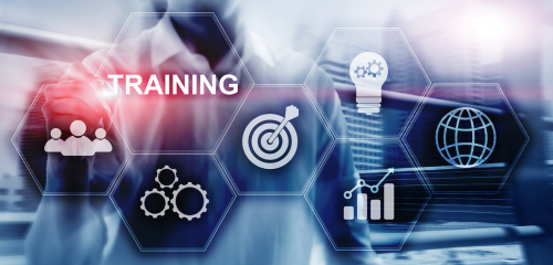 Training & Capacity Building
